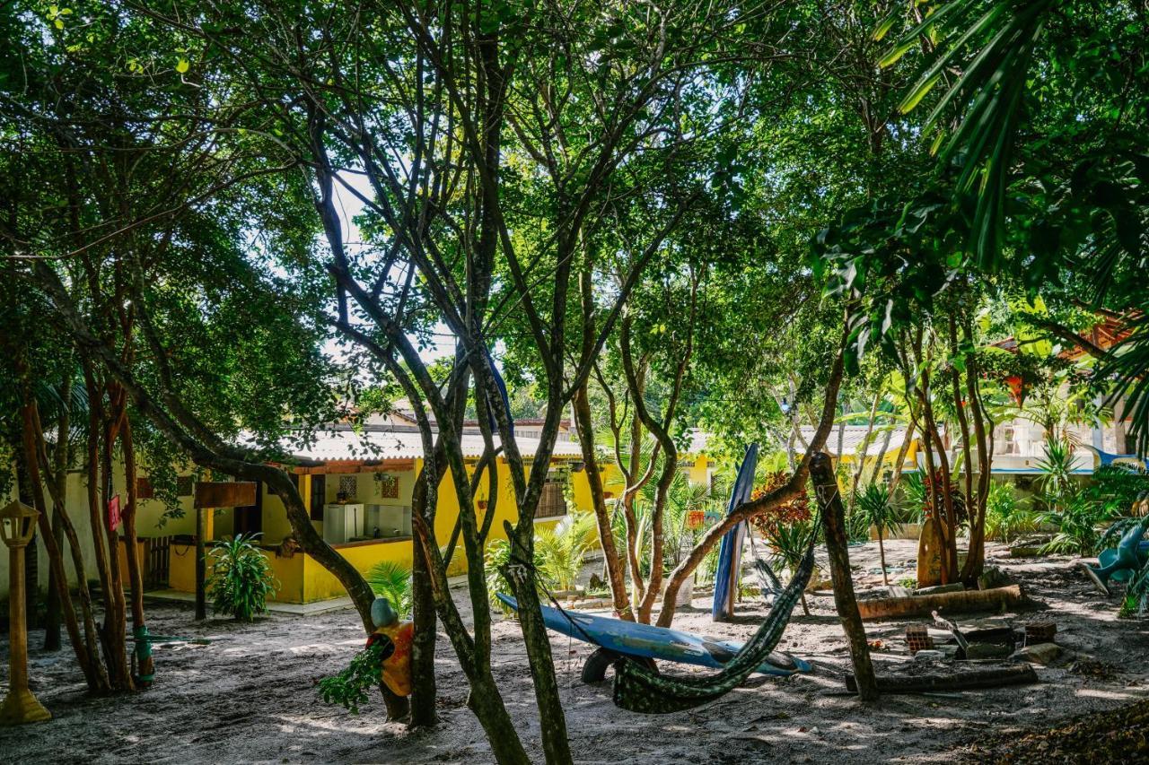 Macaco Surf Hostel Praia de Pipa Exteriér fotografie